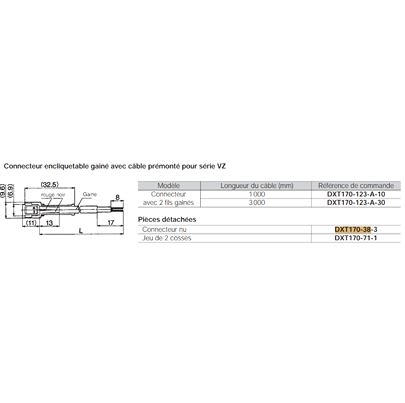 SMC DXT, DXT170-38-3